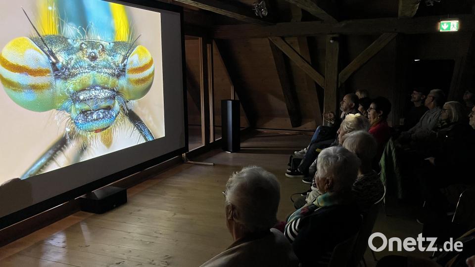 Keine Helloween-Gespenster sondern Wunder der Makrowelt, wie hier der Kopf mit den Neztaugen einer Libelle wurden in der Schau „Vielfalt der Fotografie“ gezeigt. Bild: mor