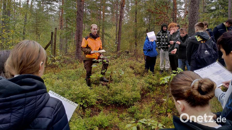Die Schüler der Klasse 9M9 waren unterwegs im Zukunftswald. Bild: Grund- und Mittelschule Kemnath/exb