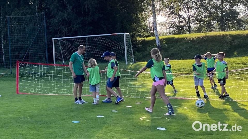 Das Sportkidsfest zeigt: Um den Nachwuchs ist es beim TSV Dieterskirchen nicht schlecht bestellt. Bild: Robert Becher/exb