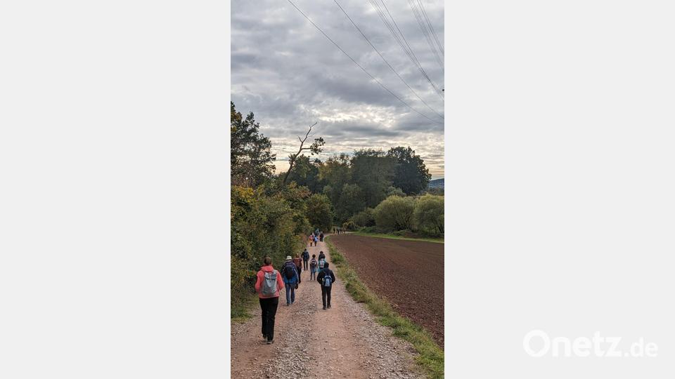 Schweigend und betend, aber auch singend, pilgerten die Gläubigen durch die Natur am Jakobsweg von Schwandorf nach Ensdorf. Bild: wec