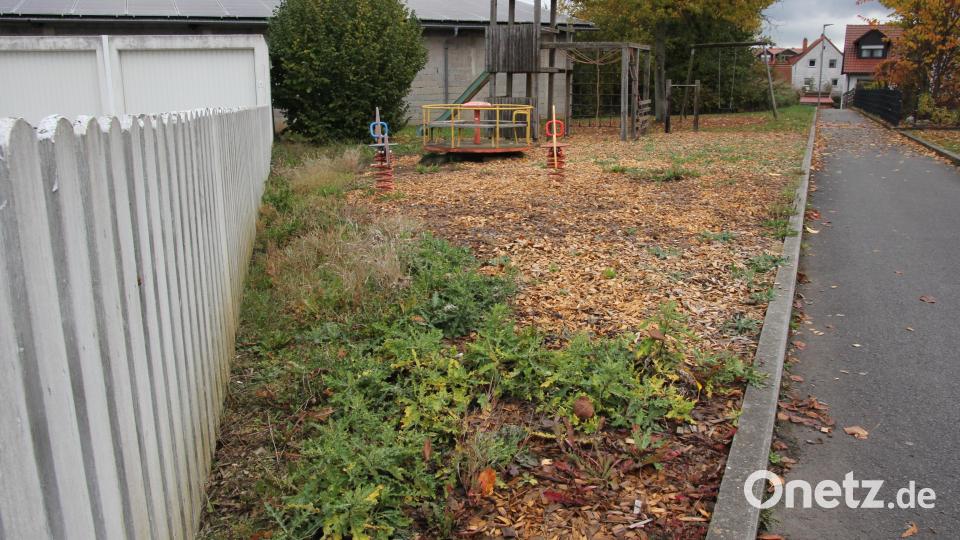 Die stark wachsenden Distel am Kinderspielplatz Hochäcker in Kondrau bereiten Probleme. Bild: kro