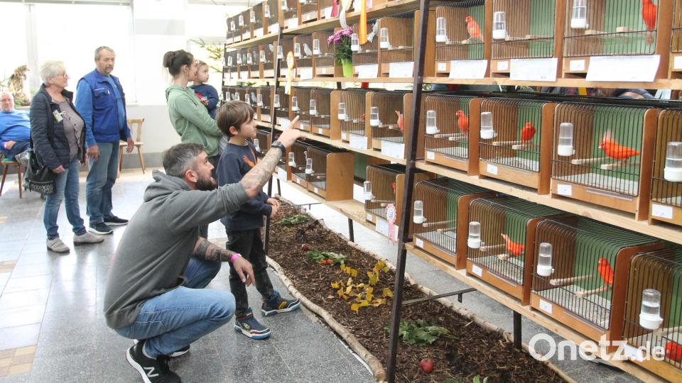 Erwachsene und Kinder bestaunen die bunte Welt der Vögel. Bild: pi