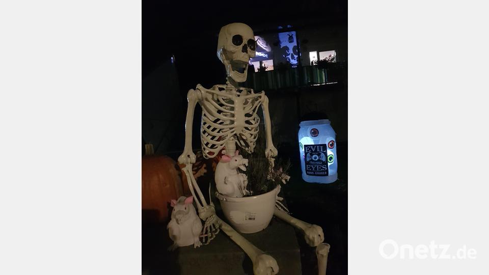Nach altem Volksglauben können die Toten an Halloween das Totenreich verlassen. Dieses Skelett hat es sich auf einem Bauwerk für Mülltonnen bequem gemacht. Bild: Benkhardt