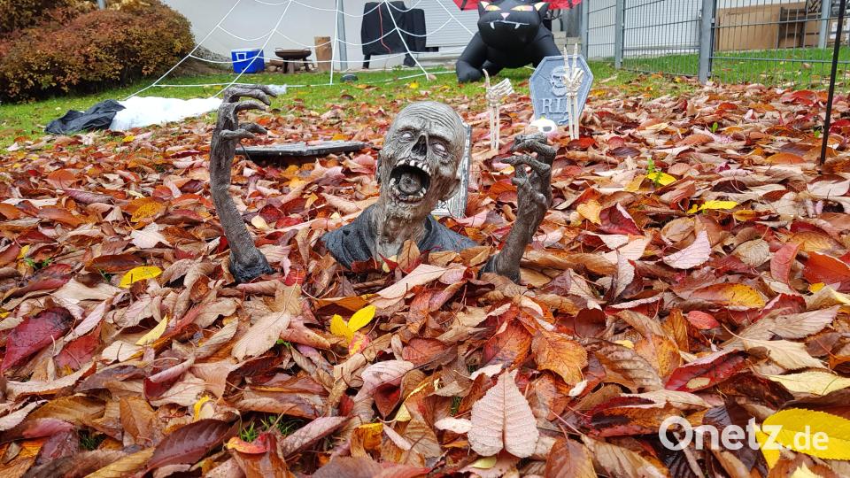 Schaurige Gestalten bevölkern die Vorgärten im Siedlungsgebiet Brücklpoint in Erbendorf. Bild: Benkhardt