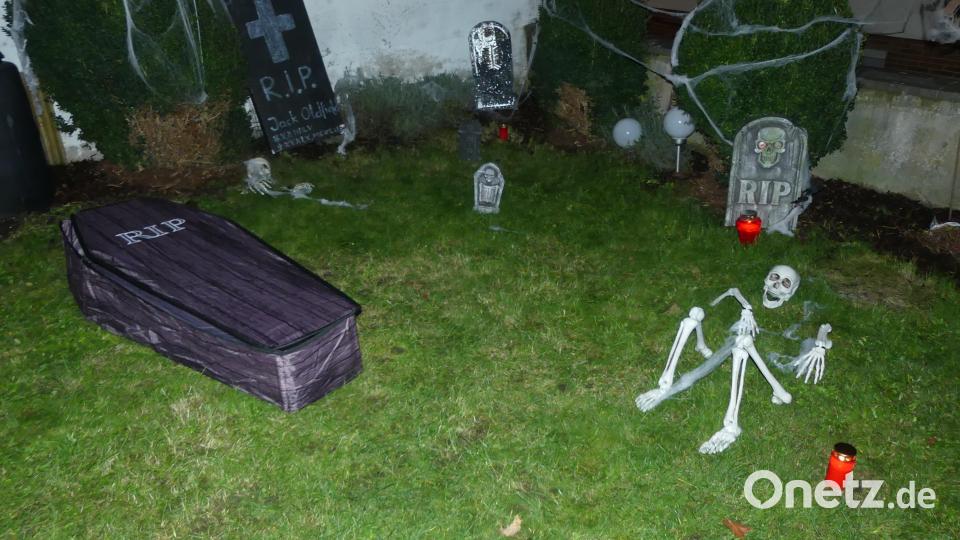 Ein „Friedhof“ mit munteren Bewohnern. Bild: rn