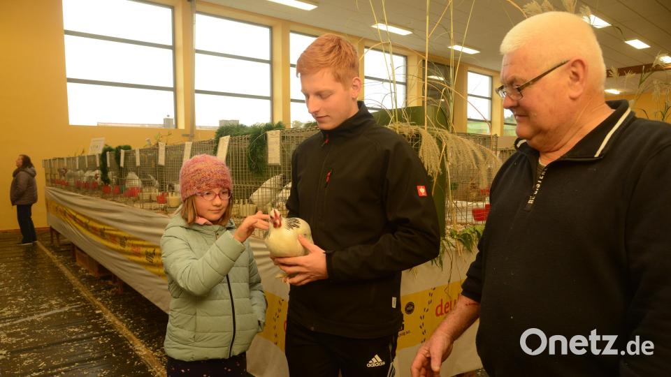 Wer streichelt nicht gern über die Federn eines schönes Huhns? Vorsitzender Karl Luber und Christoph Plan (von rechts) haben den Kindern dazu in der Ausstellung die Möglichkeit gegeben. Bild: bey