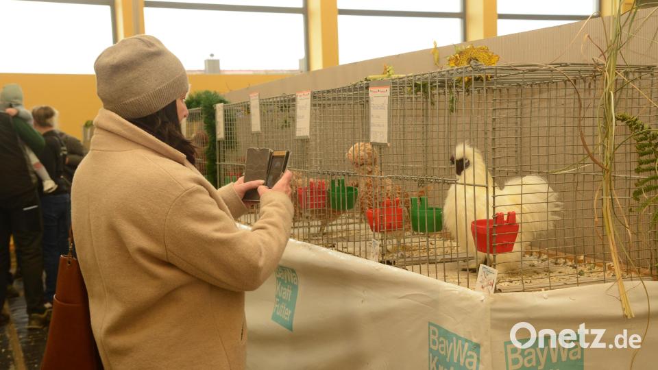 Ein Bild zur Erinnerung an die Ausstellung des Kleintierzuchtvereins Windischeschenbach und Umgebung gehört bei den Besuchern einfach dazu. Bild: bey