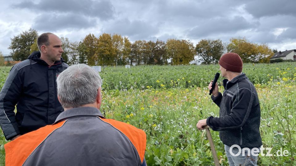 Landwirt Johannes Hösl (llinks) erläuterte Vor- und Nachteile der einzelnen Zwischenfruchtmischungen. Bild: Armin Hofbauer/AELF Regensburg-Schwandorf