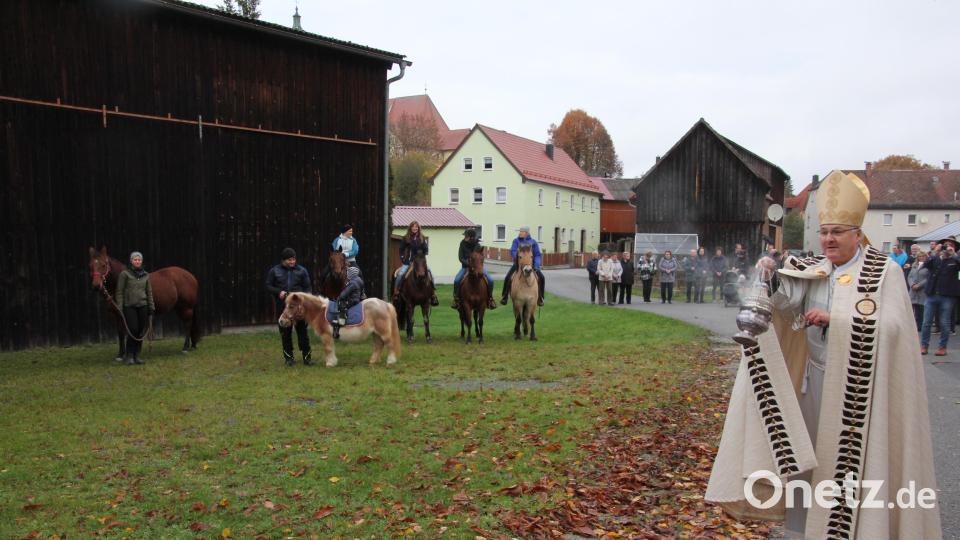 Bischof Rudolf Voderholzer segnete die Pferde. Bild: kro