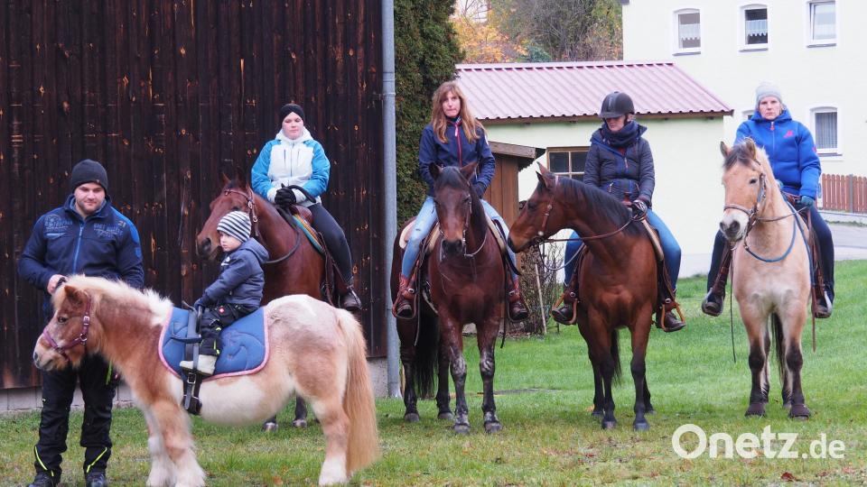 Insgesamt zwölf Pferde, darunter auch Ponys, waren zur Pferdesegnung "angetreten". Bild: kro