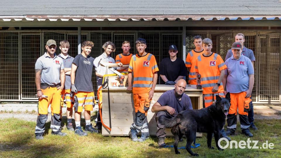Die Übergabe der fertigen Hundehütten im Tierheim Tirschenreuth durch einen Teil der Kassecker-Auszubis und Ausbilder Benjamin Riediger (links). Bild: Andreas Binder/Kassecker/exb