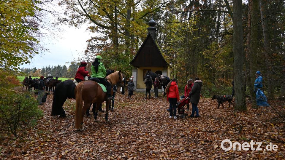 Zahlreiche Gäste fanden sich am vergangenen Sonntagmittag an der Pauschkapelle ein, um den Segen Gottes für ihr Tier von Pfarrer Thoams Stohldreier zu erhalten. Bild: kki