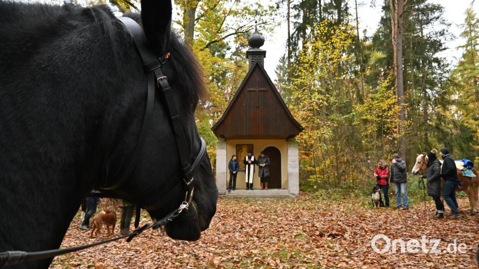 Ross und Reiter trafen pünktlich um 13 Uhr an der Pausch-Kapelle ein, um den Segen von Pfarrer Thomas Stohldreier entgegen zu nehmen. Bild: kki