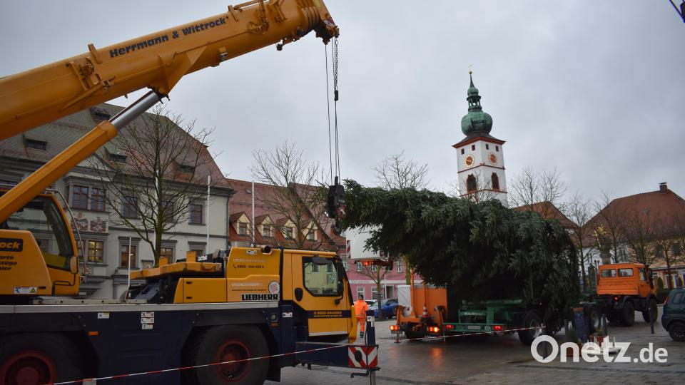 Mit einem Kran wurde der Baum hochgehievt. Damit die Fahrzeuge und Arbeiter die Nordmanntanne aufstellen konnten, waren Teile des Marktplatzes kurze Zeit gesperrt. Bild: lue