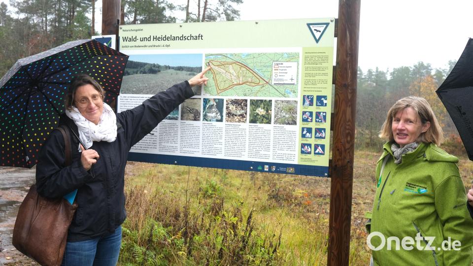 Silke Lohr vom Landschaftspflegeverband Schwandorf (links) und Gebietsbetreuerin Birgit Simmeth (rechts) kümmern sich um die Pflegemaßnahmen im Naturschutzgebiet Bodenwöhr. Bild: Hirsch