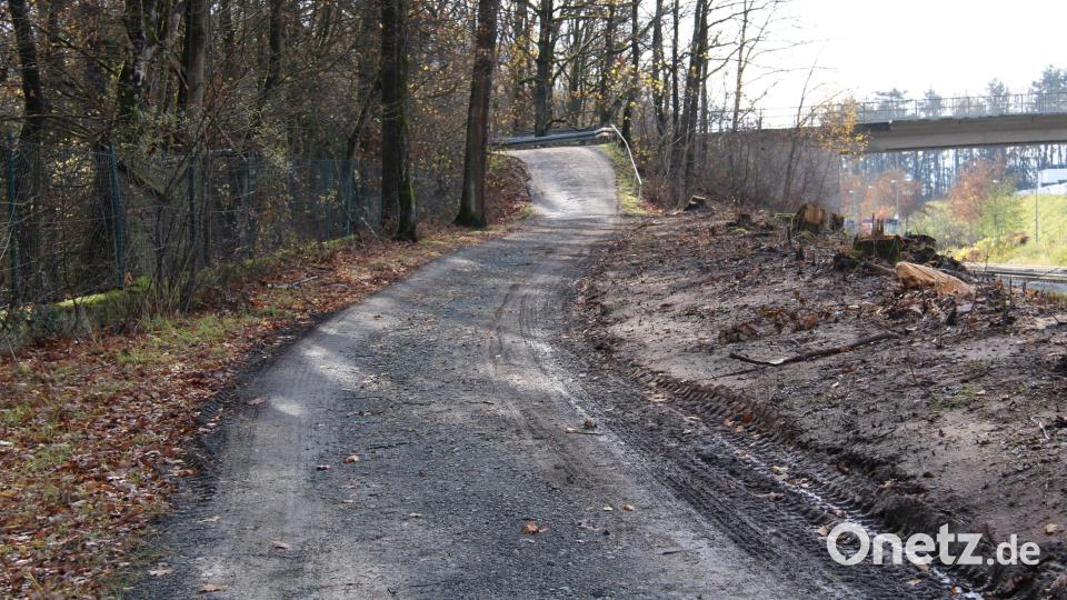 Arg mitgenommen wurde der Fuß- und Radweg entlang der Bahnstrecke vom Bahnhaltepunkt zum ehemaligen Neustädter Bahnhof durch Rodungsarbeiten. Bild: prh