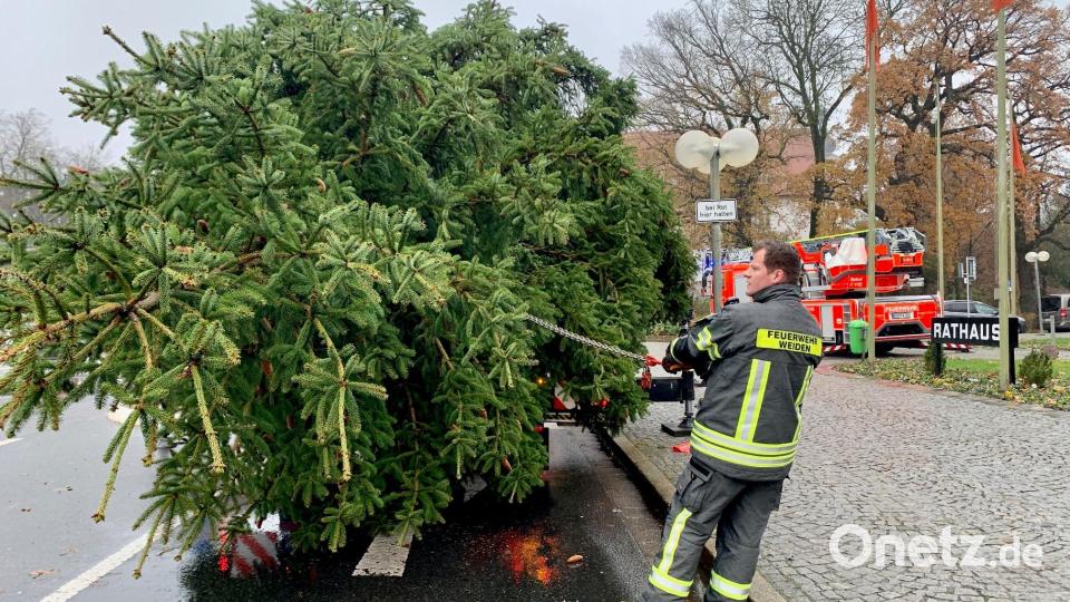 Auch vor dem Neuen Rathaus wird ein Christbaum aufgestellt. Bild: Gabi Schönberger