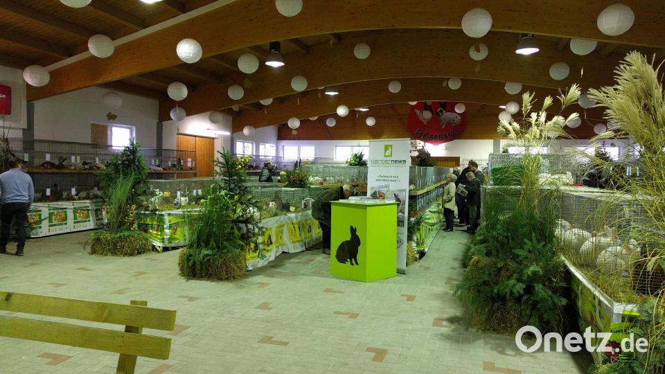 Die letzte Bezirksschau fand 2019 in Plößberg statt. Die Halle ist bereits fertig aufgebaut und wartet auf die 470 Kaninchen, die am Wochenende zu bewundern sein werden. Bild: flt
