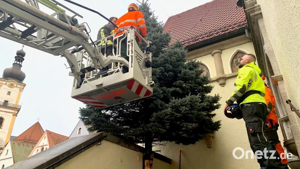 Mitarbeiter der Feuerwehr und des Bauhofs stellen den Christbaum vor dem Alten Rathaus auf. Bild: Gabi Schönberger