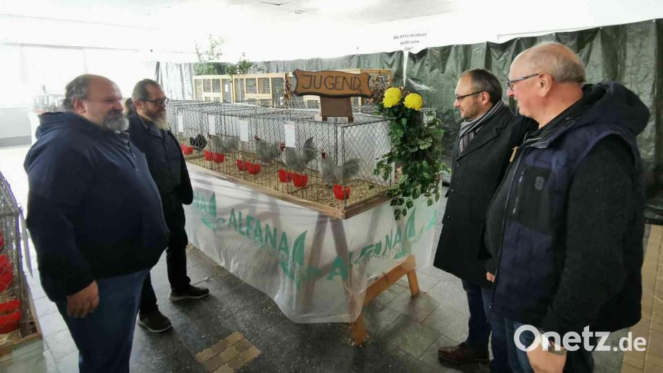Erfreut über die tollen Ergebnisse der Nachwuchszüchter sind (von links) Vorsitzender Alfred Sauer, Kreisvorsitzender Werner Kennet, Ehrenschirmherr Erster Bürgermeister Markus Bauriedl und Dritter Bürgermeister Ewald Zetzl. Bild: gz