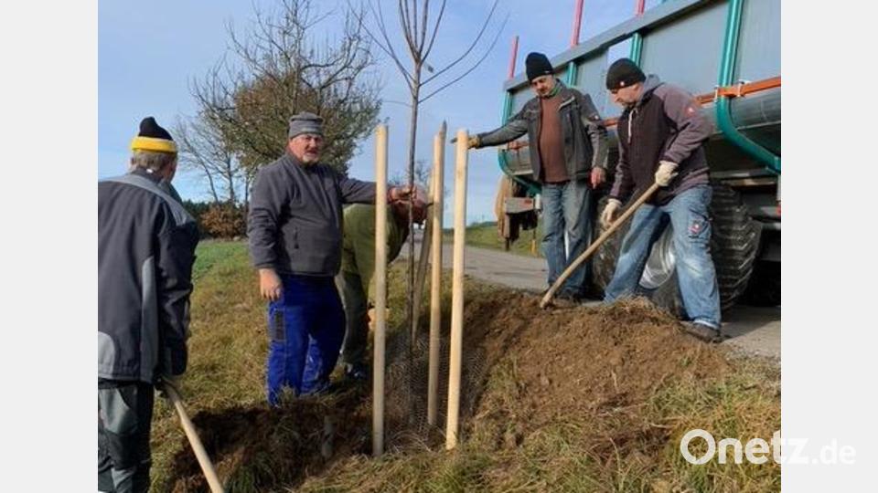 Der Obstlehrpfad befindet sich zwischen Kößing und Böhmischbruck. Bild: dob