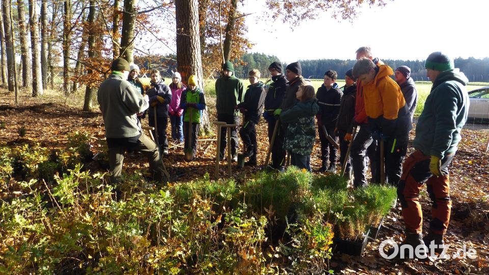Die Jugendlichen bei der Baumpflanzaktion. Bild: Walter Seltmann/exb