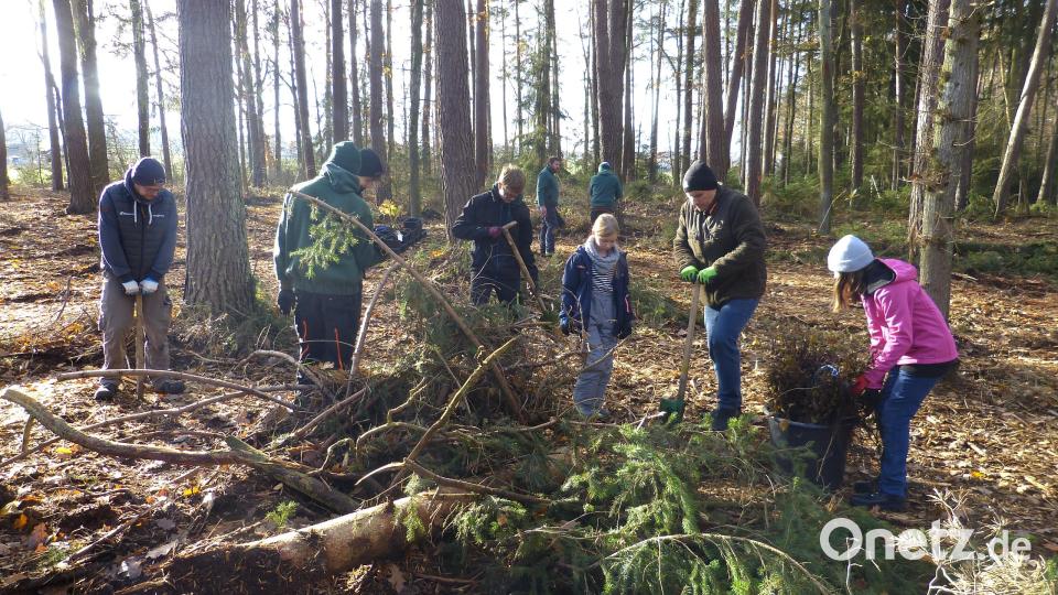 Die Jugendlichen bei der Baumpflanzaktion. Bild: Walter Seltmann/exb