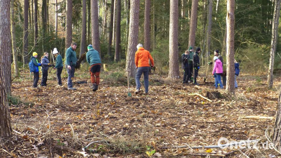 Die Jugendlichen bei der Baumpflanzaktion. Bild: Walter Seltmann/exb