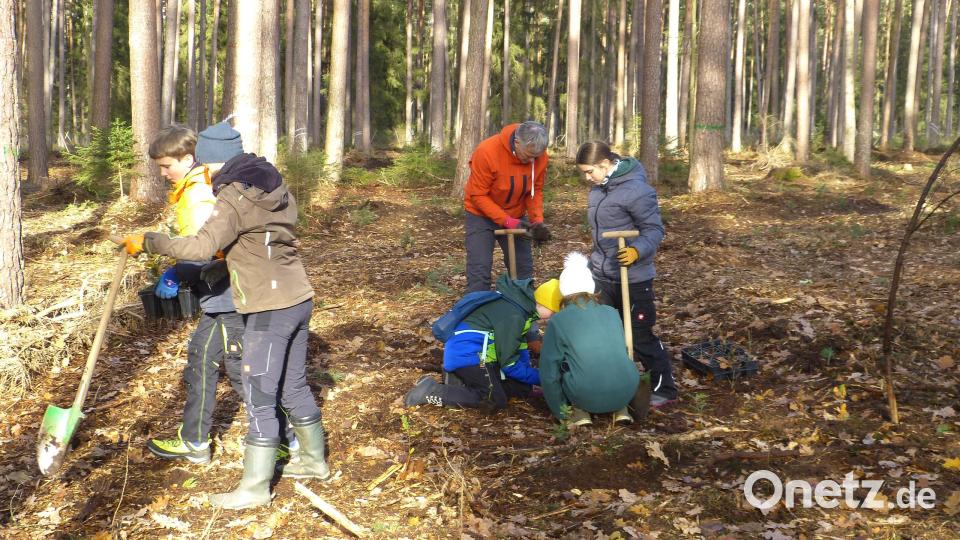 Die Jugendlichen bei der Baumpflanzaktion. Bild: Walter Seltmann/exb