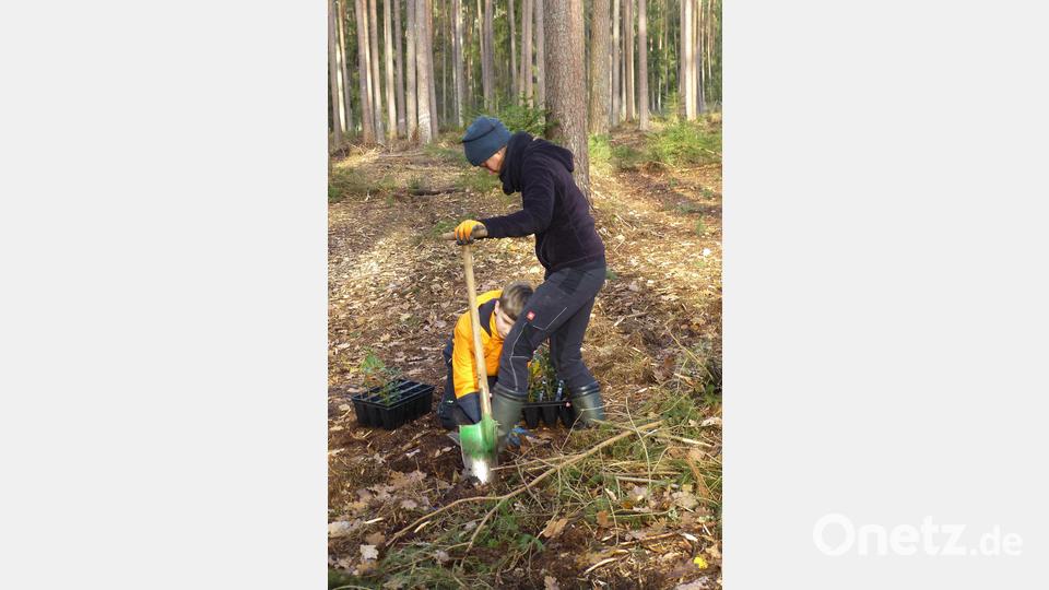 Die Jugendlichen bei der Baumpflanzaktion. Bild: Walter Seltmann/exb
