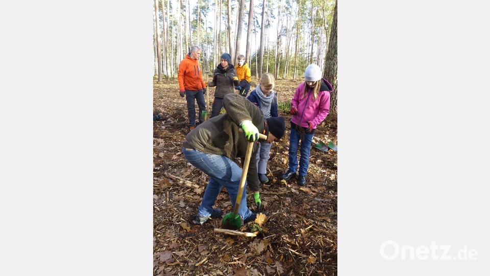 Die Jugendlichen bei der Baumpflanzaktion. Bild: Walter Seltmann/exb