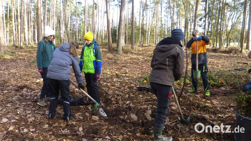 Die Jugendlichen bei der Baumpflanzaktion. Bild: Walter Seltmann/exb