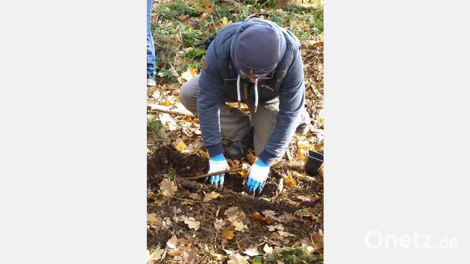 Die Jugendlichen bei der Baumpflanzaktion. Bild: Walter Seltmann/exb