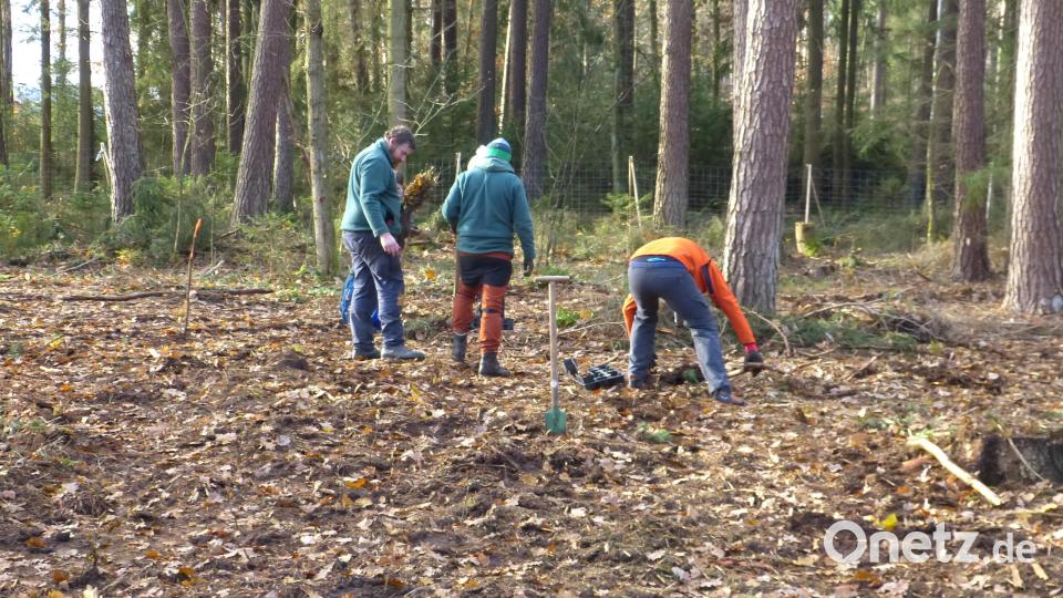 Die Jugendlichen bei der Baumpflanzaktion. Bild: Walter Seltmann/exb