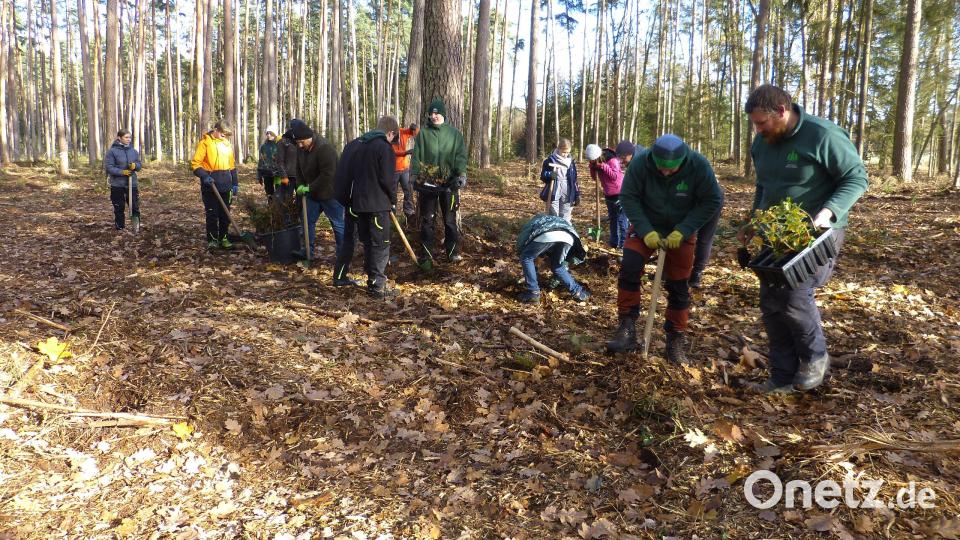 Die Jugendlichen bei der Baumpflanzaktion. Bild: Walter Seltmann/exb