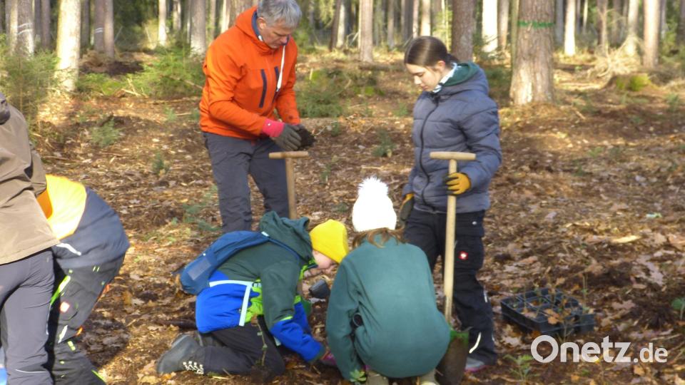 Die Jugendlichen bei der Baumpflanzaktion. Bild: Walter Seltmann/exb