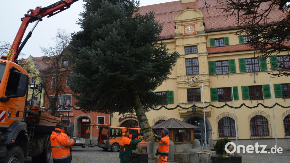 Eine beeindruckende Nordmanntanne wird mit dem Kranwagen auf den Rathausvorplatz in Vohenstrauß gehievt. Bild: dob
