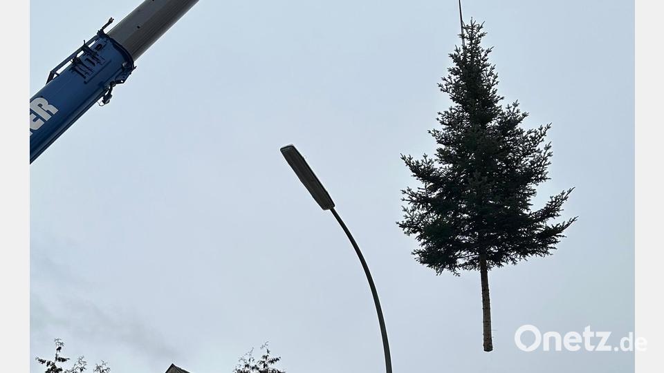 In Mantel schwebt nicht das Christkind, sondern der von Theresia Weigl gespendete Weihnachtsbaum ein, der von einem Kran zum Marktplatz befördert wird. Bild: sei