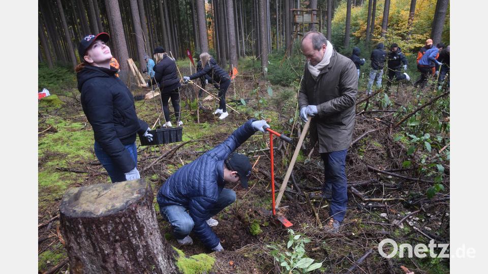 Vorstandsvorsitzender Hans-Jörg Schön im Verbund mit seinen Azubis. Teamwork im Wald. Bild: fz