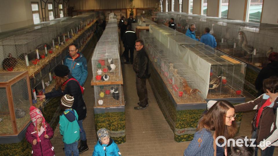 Schon am frühen Sonntagnachmittag füllt sich die Ausstellungshalle. Bild: frd