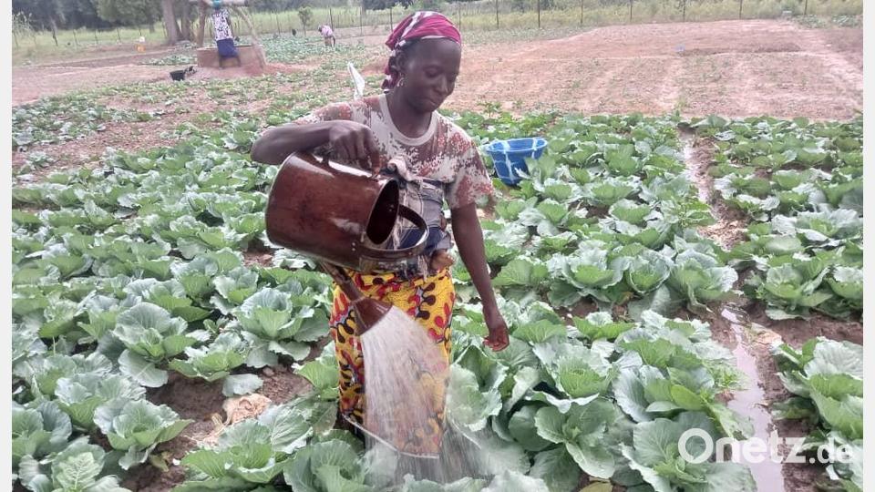 Die LAG Mali unterstützt Projekte in dem afrikanischen Land. Bild: Reinhold Strobl