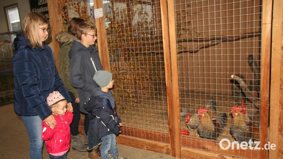 Die ganze Familie ist von den Tieren angetan . Bild: frd