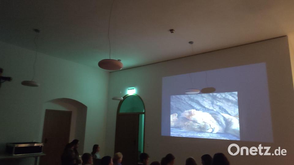 Fast wie im Kino - Beim Kennenlernabend der Kolpingsfamilie flimmerte die Neuverfilmung des &quot;König der Löwen&quot; über die Leinwand. Bild: Nina Wittmann/Kolping