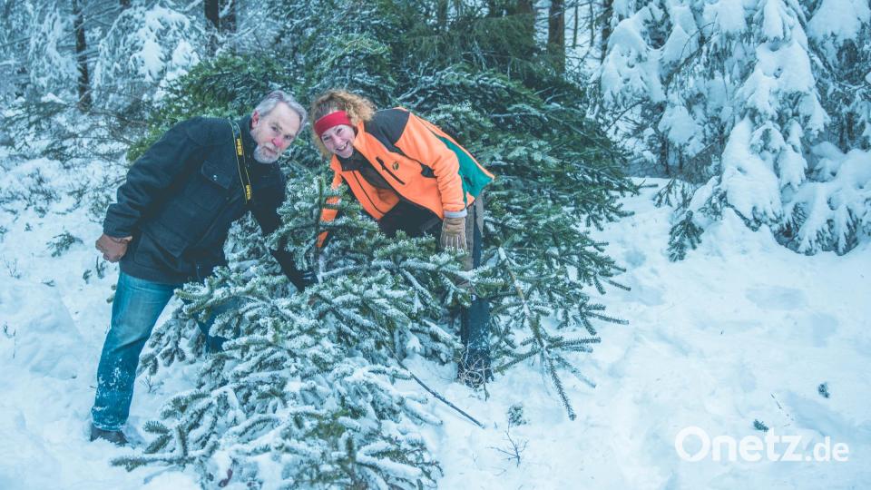 Fichtelgebirgstanne für die Tschechische Botschaft in Berlin. Udo Benker-Wienands, Initiator der Baumspende für die Tschechische Botschaft und Miriam Lang, Försterin im Forstrevier Ahornberg, bewundern den Christbaum. Bild: exb/Martin Hertel