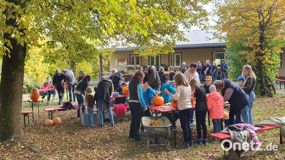 Alle sind voll bei der Sache. Bild: Doris Markgraf/exb