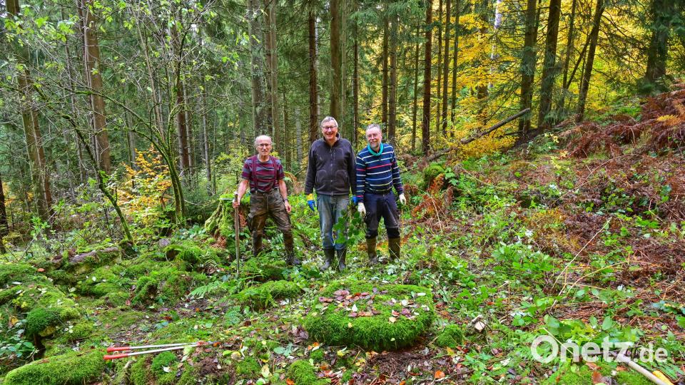 Bei einem umfangreichen Arbeitseinsatz haben Dr. Siegfried Steinkohl, Erwin Nonas und Robert Mertl (von links) vom Verein Kulturlandschaft südlicher Steinwald die einstige Hofstelle Glosenhof im Steinwald von Gestrüpp befreit und das Gelände weitläufig freigestellt. Bild: bsc