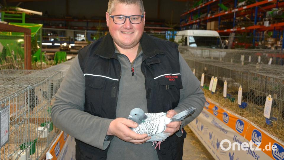 Stefan Weiß aus dem Kreis der Geflügelzüchter freute sich über hohe Punktezahlen für seine Luchstauben. Bild: jr