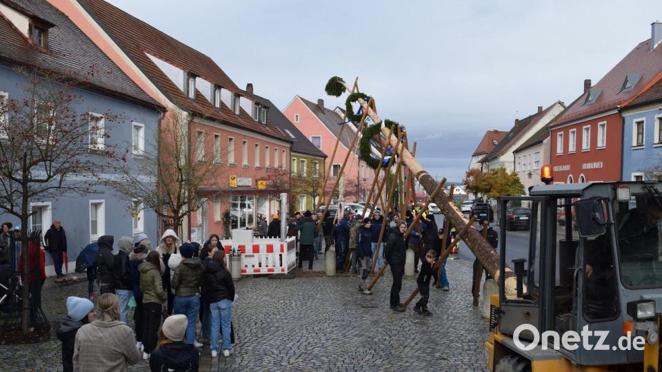 Das Baumaufstellen am vergangenen Sonntag in Luhe war eine recht nasse und kühle Angelegenheit. Aber den helfenden Burschen wurde beim Hochhieven des gut 30 Meter hohen Wahrzeichens schon recht warm. Bild:  Enrico März/exb
