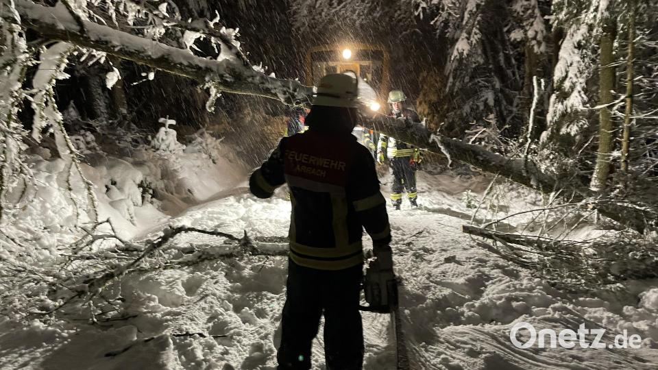 Im Landkreis Cham sind mehrere Bäume umgestürzt. Der Zugverkehr wurde dadurch behindert. Bild: Kreisbrandinspektion Cham/exb