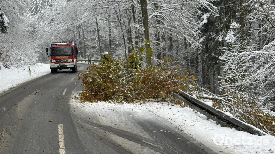 Die Feuerwehr im Landkreis Cham rückt zu insgesamt 200 Einsätzen aus. Bild: Kreisbrandinspektion Cham/exb
